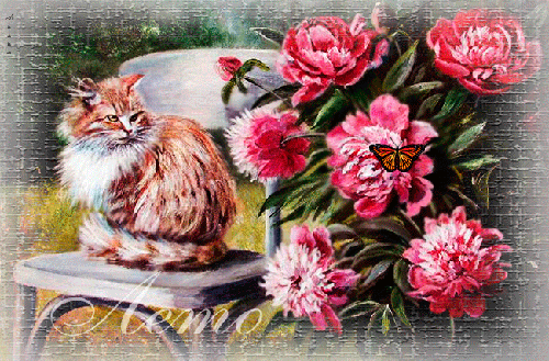 Картинки букетов с пионами. Картинки с пионами. Картинки девушка с пионами. 