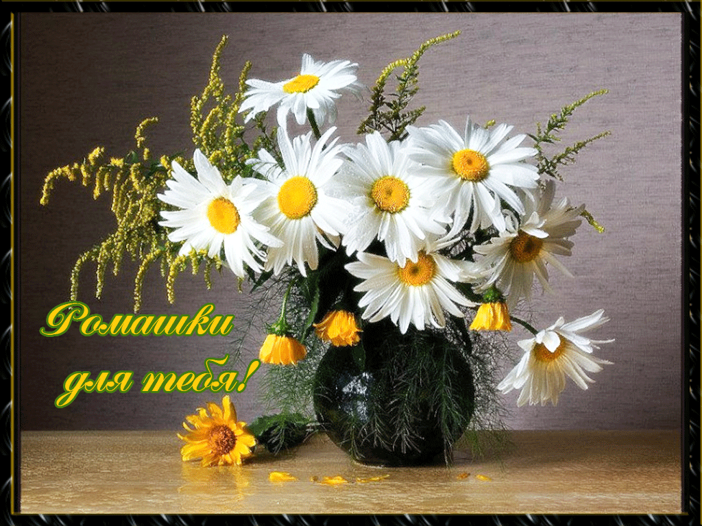 Открытка Зайчик с ромашками. Открытка с ромашками на день рождения.