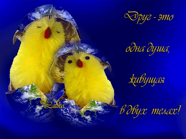 Открытки о дружбе и любви. Открытки о дружбе скачать. Открытки о дружбе прико...