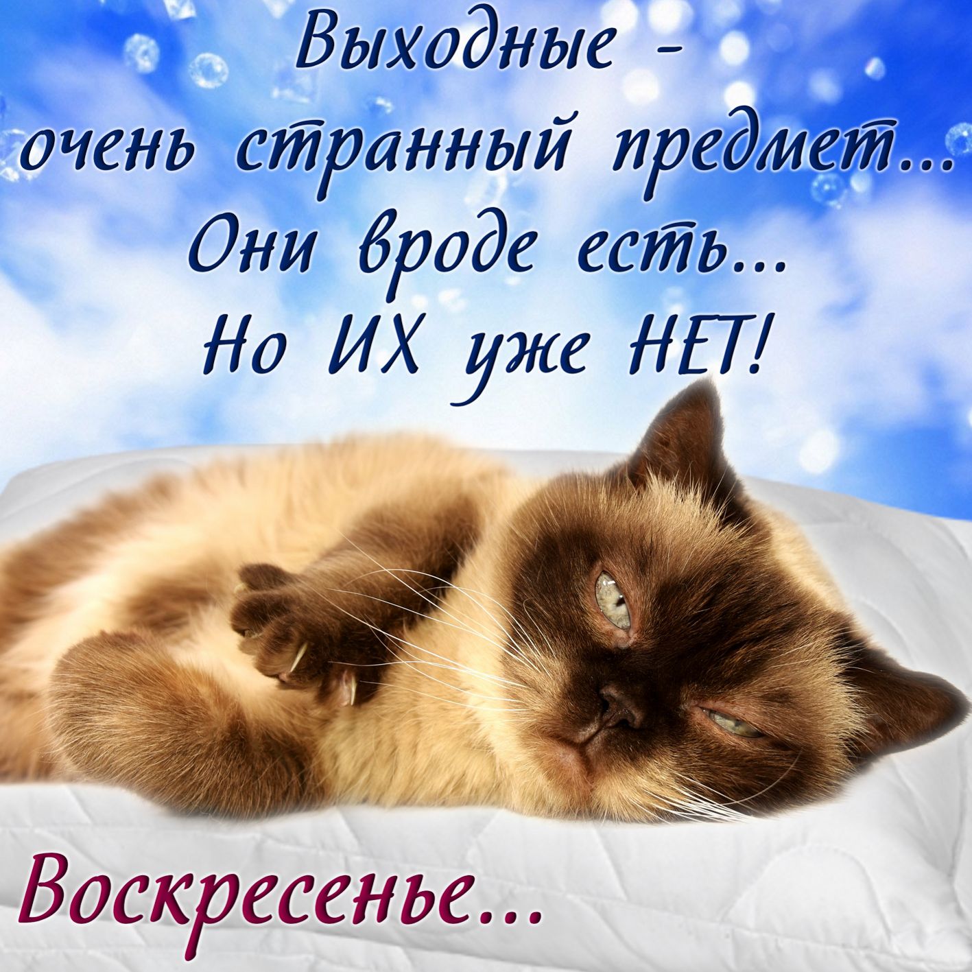 Открытки с воскресеньем прикольные. Открытка Хорошего воскресенья.