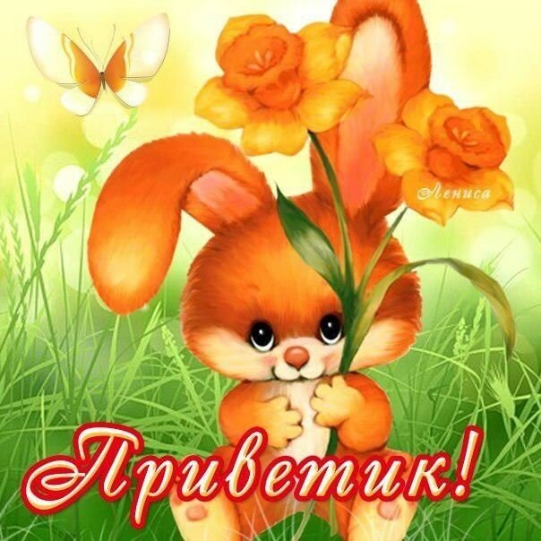 Картинки Что делаешь Привет. Картинки привет от меня. Привет картинки смешные.