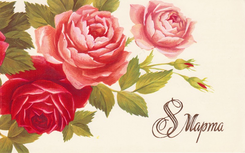 Открытка с праздником 8 марта! Открытки с красной розой. Открытки с персонажа...