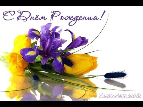 Красивые фото ирисов. Ирисы фото на рабочий стол. Картинки цветов ириса.