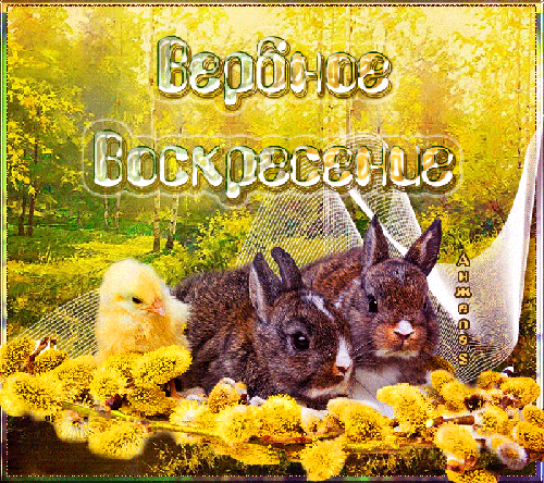 Открытки мерцающие с вербным воскресеньем. Открытки анимации с вербным воскре...