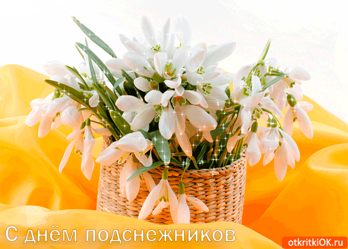 Открытки гиф подснежники. Картинки на день подснежника. Гиф картинки с днем п...