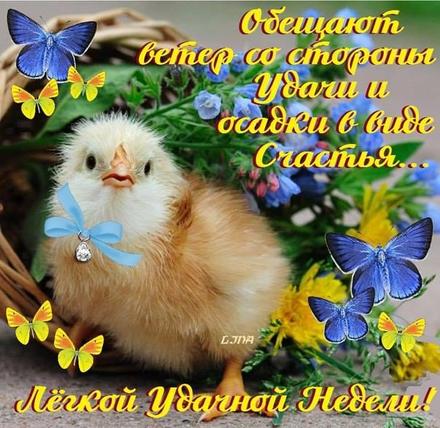 Удачной недели анимация. Удачной недели гиф. Удачной недели фото удачной рабо...