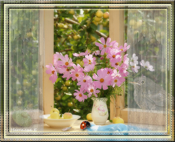 Открыл к бабочка машет крыльями, я мерцающая открытка с космеями и бабочкой.