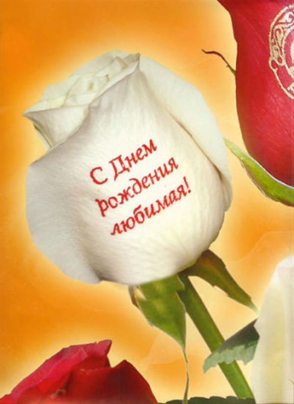 Открытка с красными розами для жены на день рождения. Открытка с днём рождени...