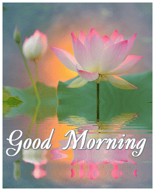 Открытка водная лилия или Лотос. Открытка к чистому четвергу с цветами лотоса...