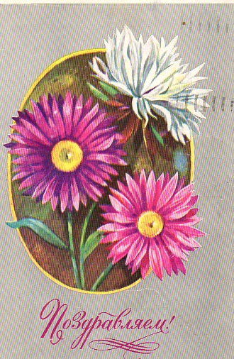 Фото Астры и хризантемы. Астры букет фото. Красивые Астры фото.