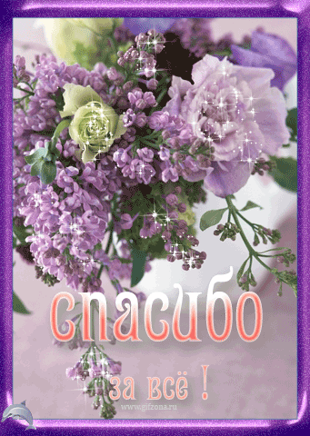 Картинки Спасибо за внимание смешные. Спасибо картинки гиф. Открытка Спасибо ...