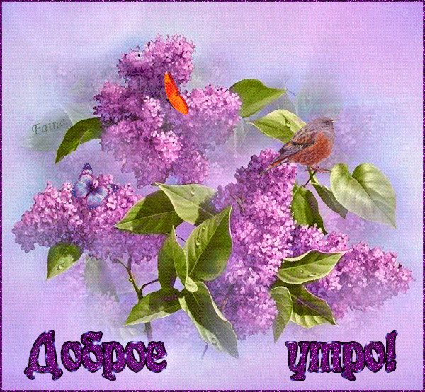 Открытки картинки с сиренью. Открытки Доброе утро с сиренью.