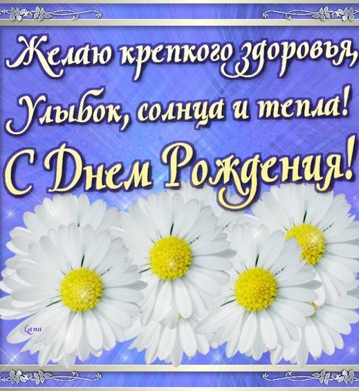 Букет ромашек в руках фото. Большие ромашки фото. Потом много ромашек фото вы...