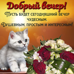 Картинка анимация Добрый вечер. Картинка Всем добрый вечер. 