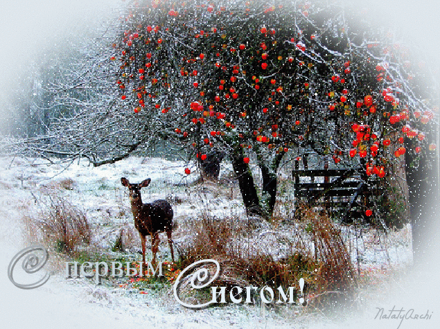 Картинки со снегом красивые. С первым Весенним снегом. Снег идёт прикольные к...