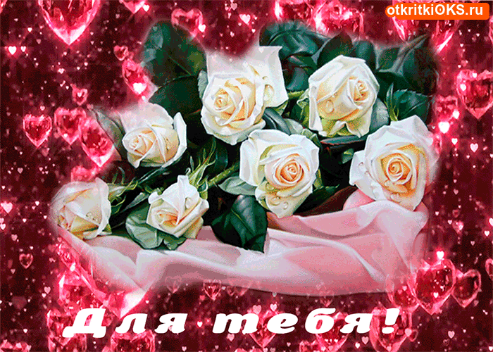 Шикарные Белые розы фото. Белые розы фото букет. Фото Белые розы в вазе.