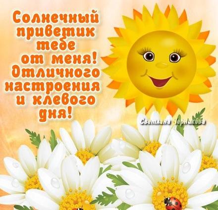 Открытка Зайчик с ромашками. Открытка с ромашками на день рождения.