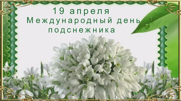 Показать открытки с Днем подснежника. Открытки поздравления с днем подснежника.