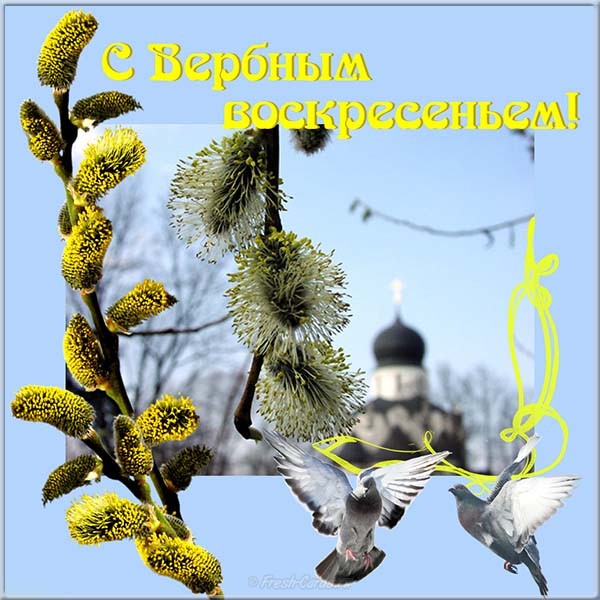 Картинки GIF с вербным воскресеньем. С наступающим вербным воскресеньем в кар...
