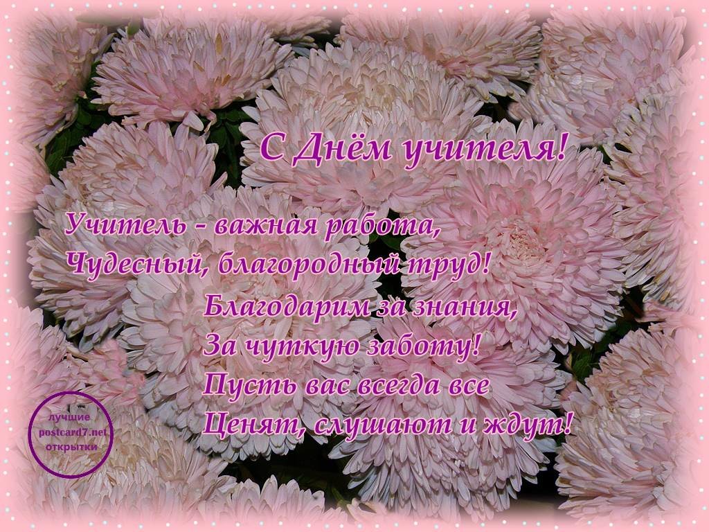 Открытка Астры для тебя. Ретро открытка С Днём рождения С астрами.