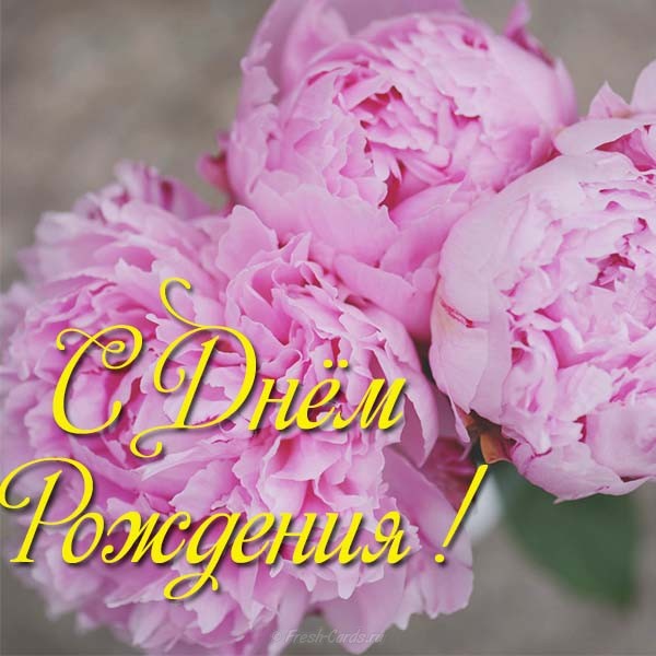 Красивая открытка с пионами. Поздравительная открытка, открытка с белыми пион...