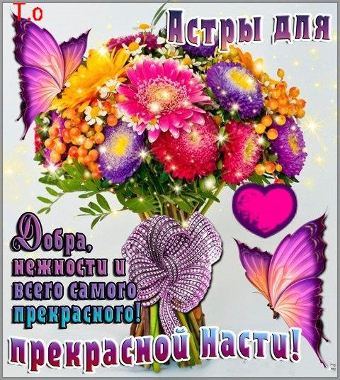 Открытка гиф мерцающая с одной фиолетовой астры. Открытка с анимацией различн...