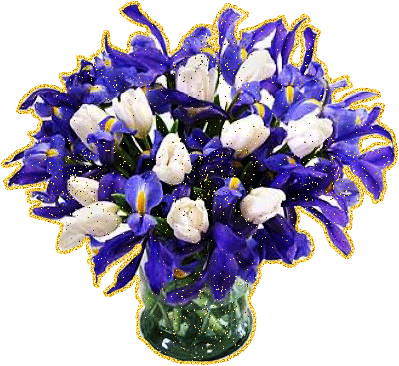 Красивые фото ирисов. Ирисы фото на рабочий стол. Картинки цветов ириса.