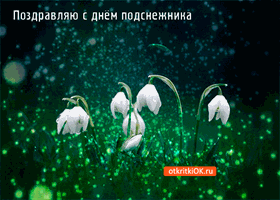 Фото подснежника скачать. Открытки с Днем подснежника. Картинки подснежники п...