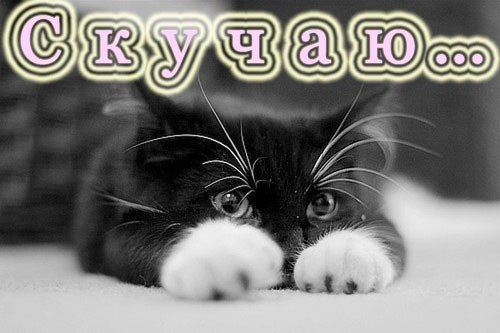 Красивые картинки для любимой жены скучаю. Картинки я скучаю по тебе любимая.