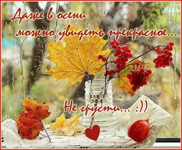 Открытка выше нос! Открытка солнышко Не грусти! Открытка с щенком не грусти.