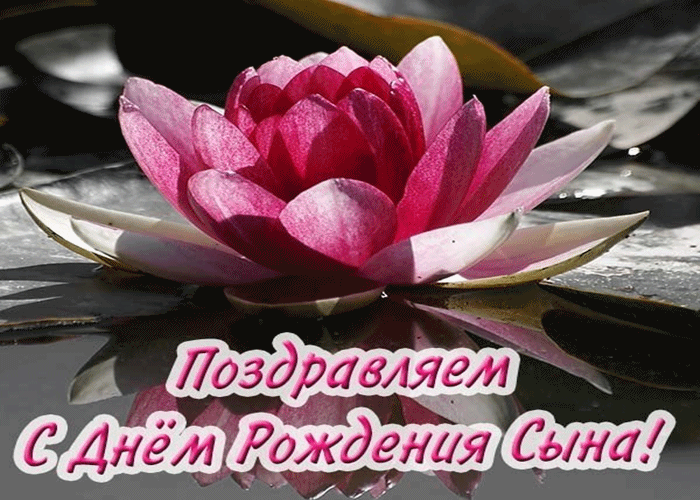 Открытка для мамы с рождением сына. Открытка чтоб поздравить.