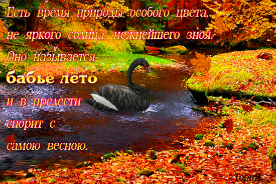 Открытка бабье лето. Картинки про бабье лето. Картинки на рабочий стол Бабье ...