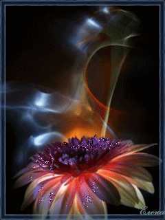 Нежная открытка с днём рождения со светло розовыми герберами.