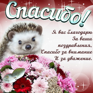 Открытка с четверостишьем Спасибо! Открытка Спасибо за тёплые слова!