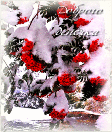 Открытка уютного дня. Открытка хорошего дня! Открытка Доброго денечка