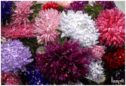 Фото Астры и хризантемы. Астры букет фото. Красивые Астры фото.