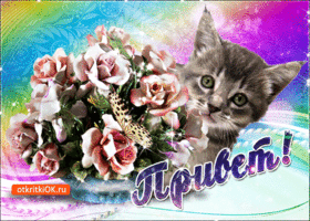 Открытка Солнечный вам привет! Открытка Привет тебе вот такой огромный!