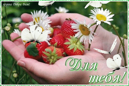 Красивые картинки лето на рабочий стол. Картинки лето 2019. 