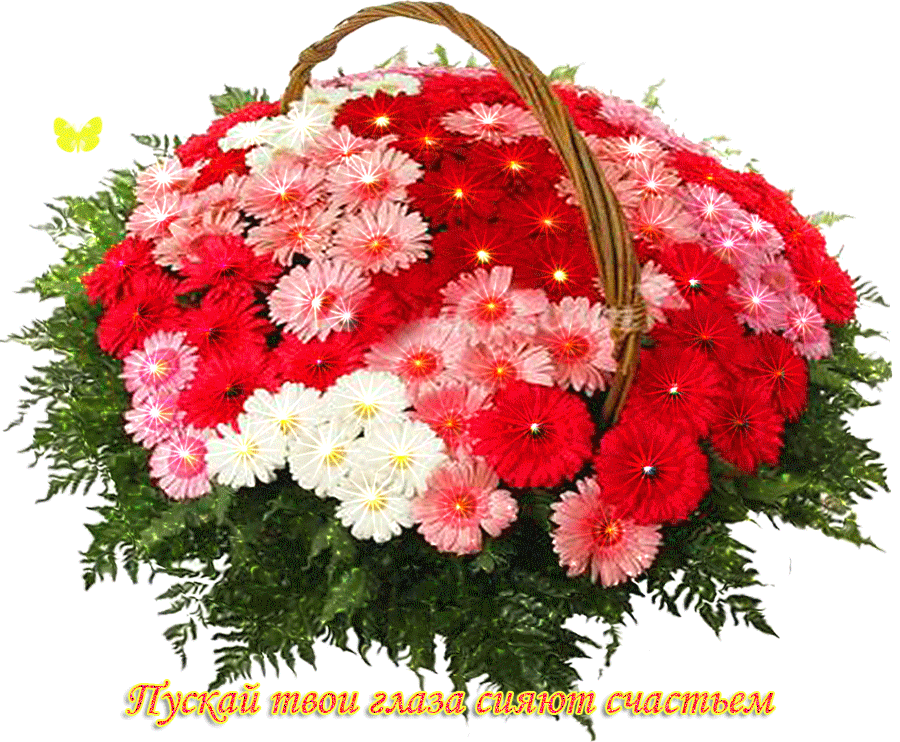 Фото Астры и хризантемы. Астры букет фото. Красивые Астры фото.