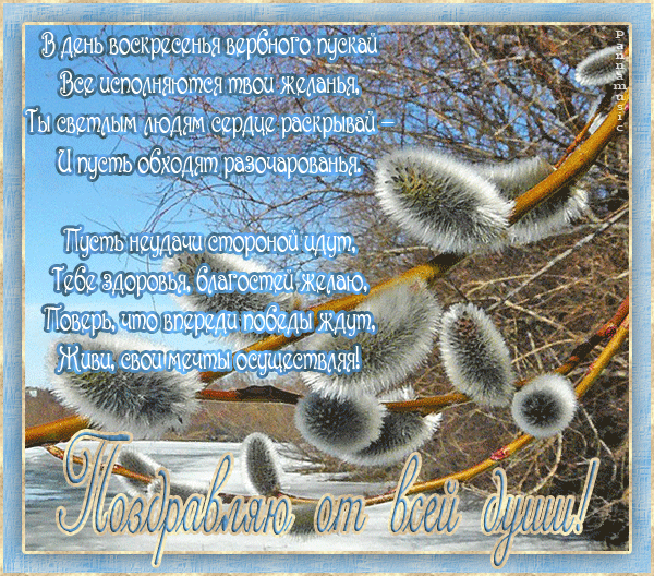 Вербное воскресенье 2020 картинки. Открытки с наступающим вербным воскресеньем.