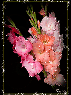 Ретро открытка С Днём рождения С гладиолусами. Гиф открытка переливающаяся с ...