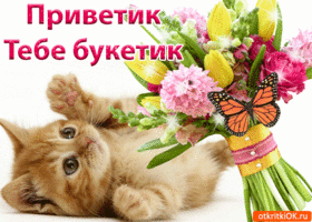  Открытка Привет любимый. Открытка приветствие. Открытка Привет мужчине.