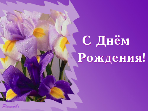 Картинка ирисами. Открытки с ирисами. Открытки С ирисами С днём рождения.