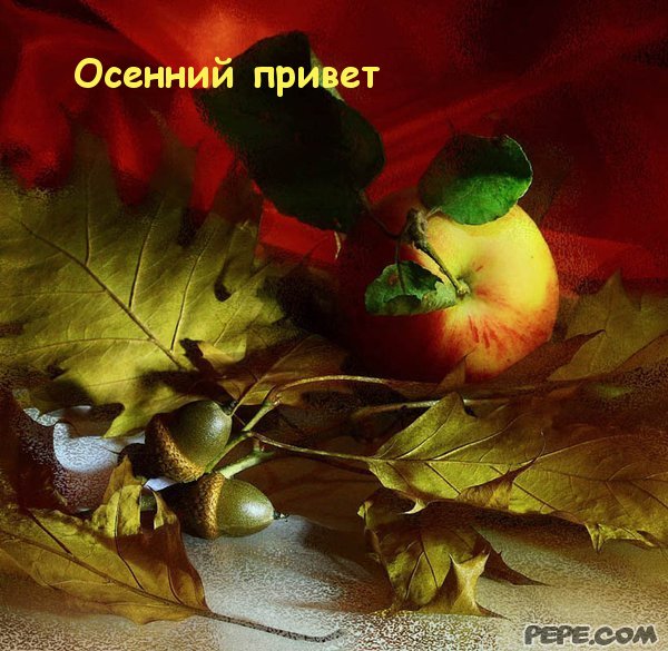 Прикольные картинки осенний Привет. Красивые картинки осенний Привет. 