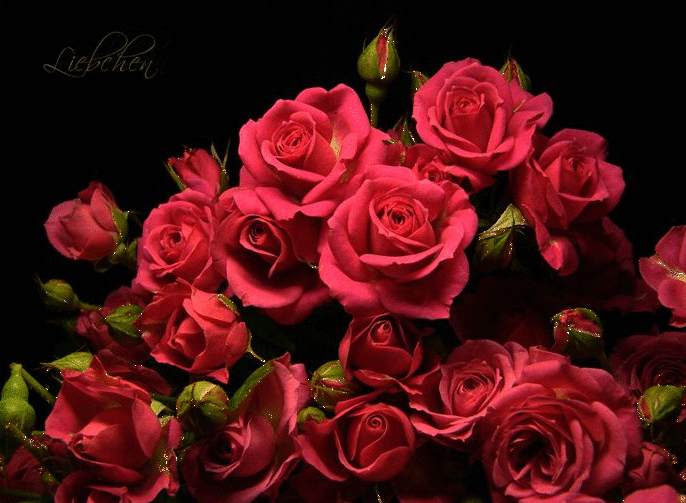 Открытка для мамы ко Дню рождения с красными розами. Открытка Спасибо за поздравления с красными розами.