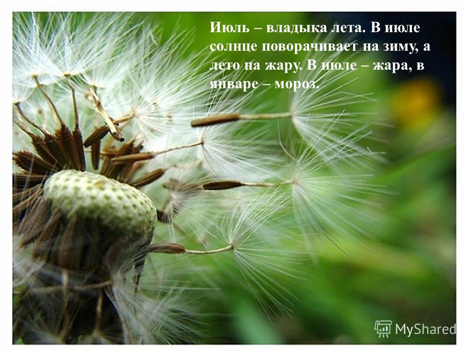 Открытки стихи про лето короткие. Открытки стихи про лето для детей 10 лет.