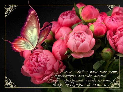 Открытки с 8 марта и открытки с добрым утром с пионами. Открытки С днём рожде...