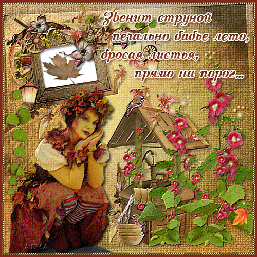 Картинки Бабье лето прикольные. Картинки смешные про бабье лето.