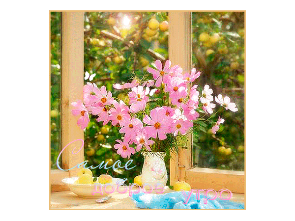 Открытка поляна к смей на ветру. Открытка Скоро лето с цветами космеи и нарци...