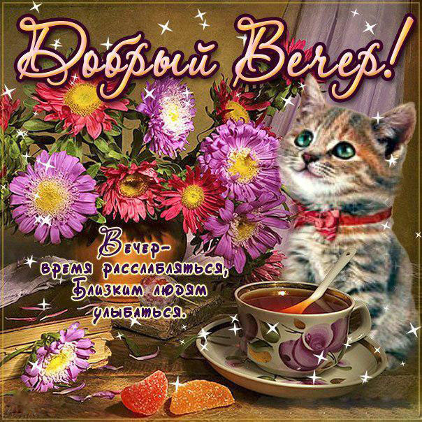 Прикольные открытки Добрый вечер. Открытки Добрый вечер друзья.